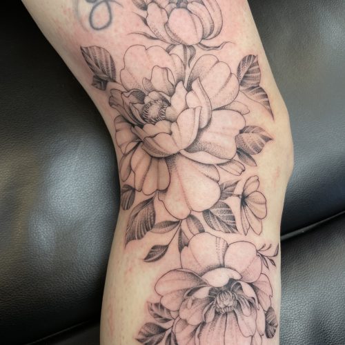 IMG  0060
