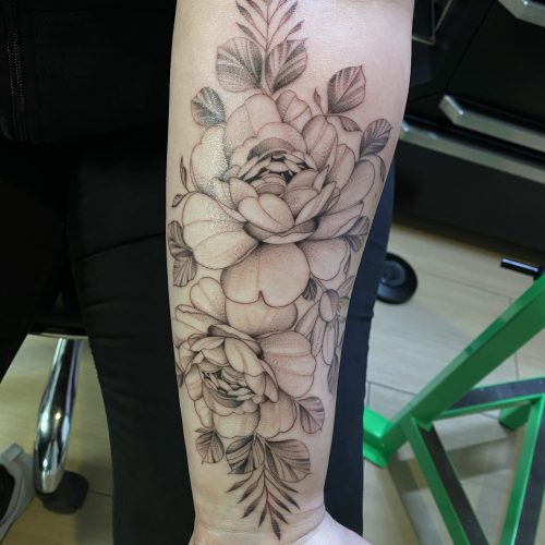 IMG  1123